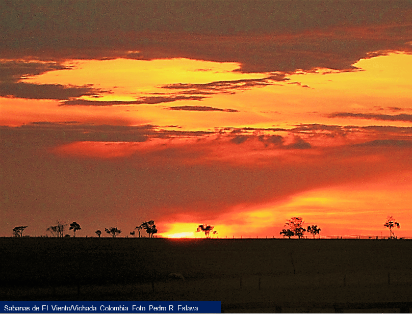 Sabanas de El Viento