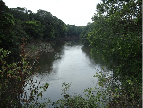 Cuenca alta del río Tomo