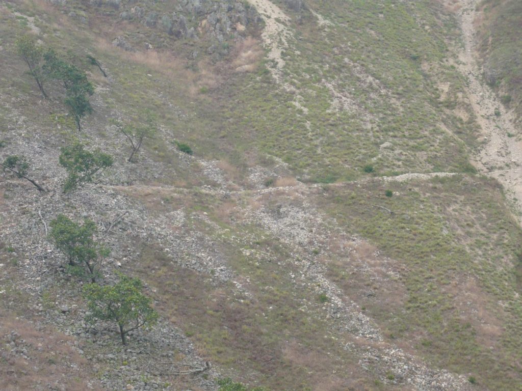 camino Chiquinquirá