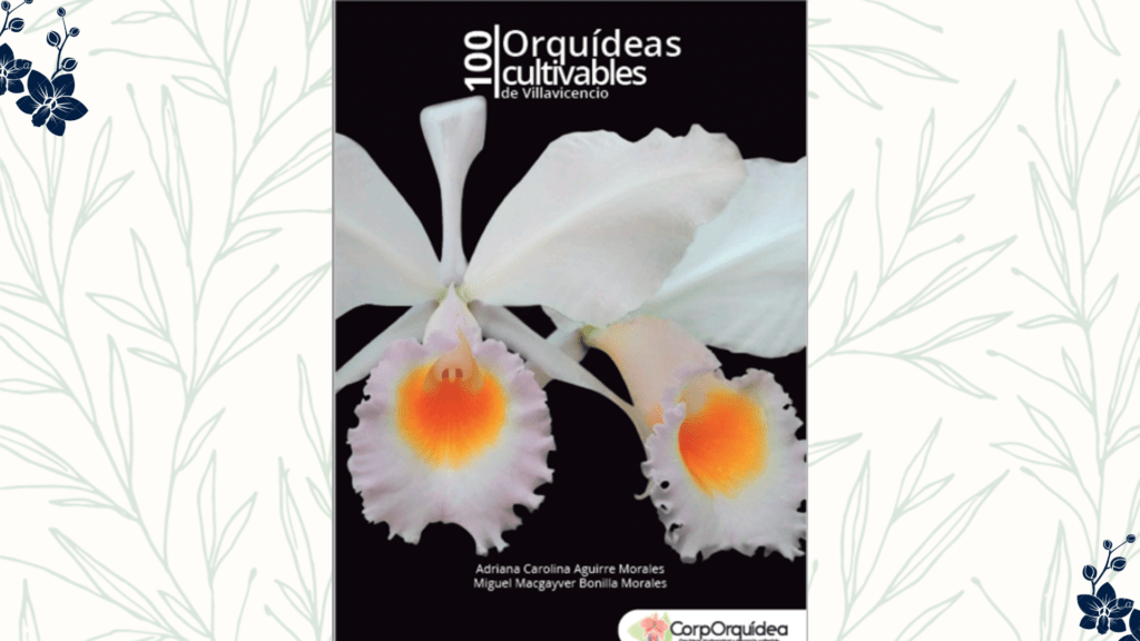 Portada Orquideas