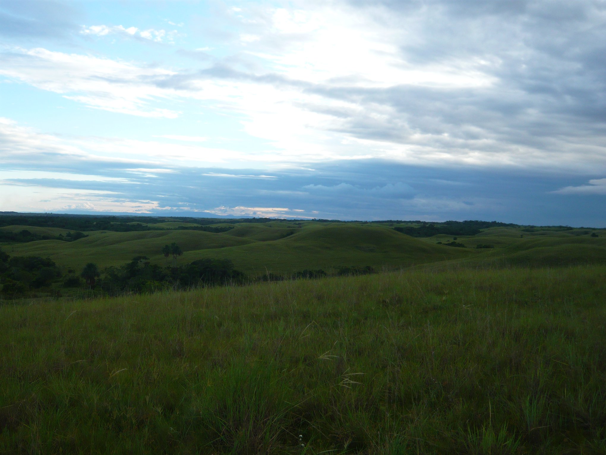 serranía manacacias