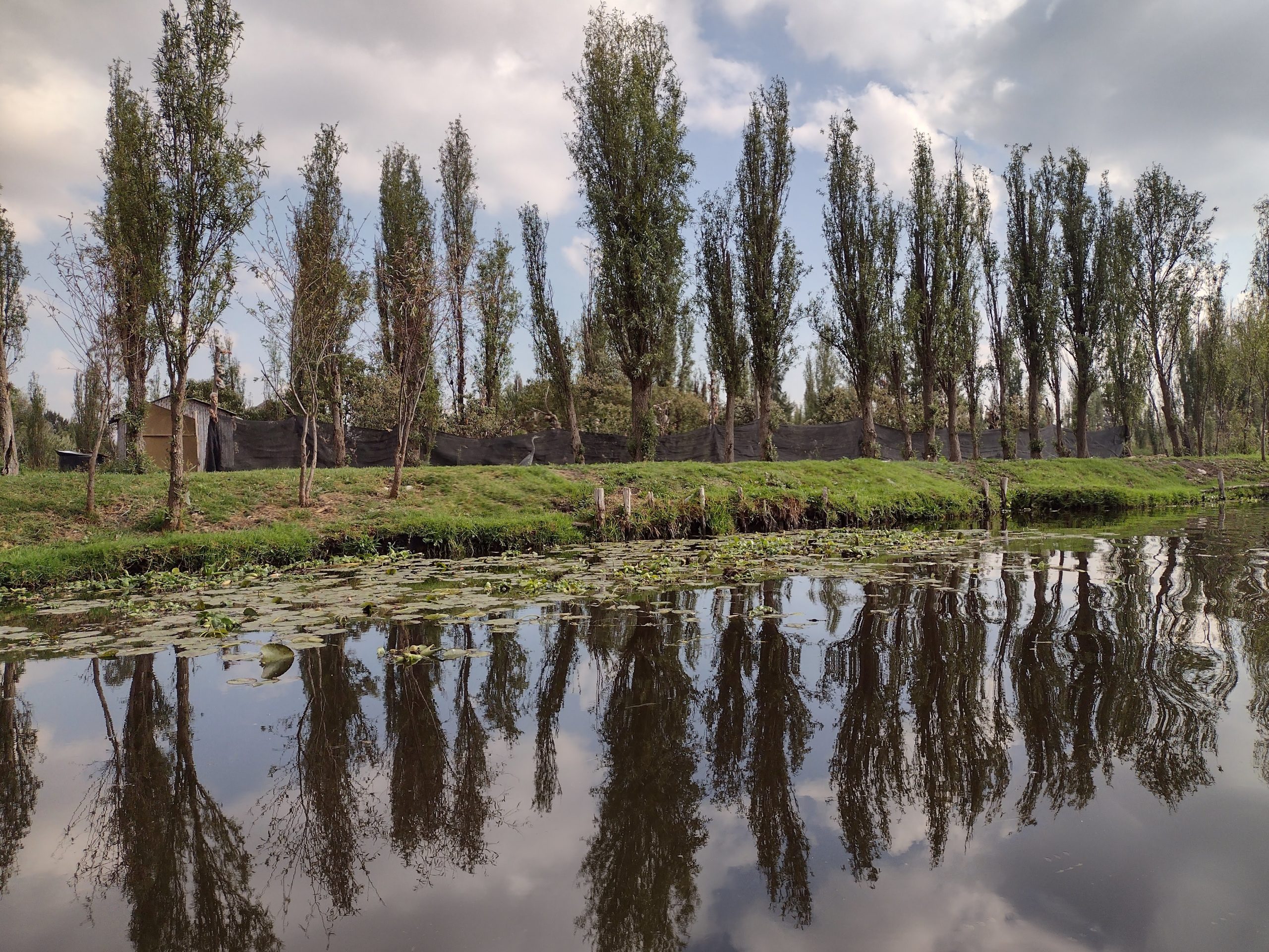 Paisaje chinampero (Foto: Diana C. Pabón Baquero)