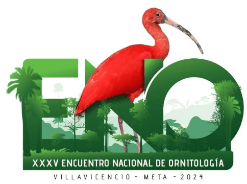 El Meta: un paraíso para los amantes de las Aves