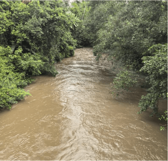 Histórico hallazgo de la época de la Conquista en Vistahermosa