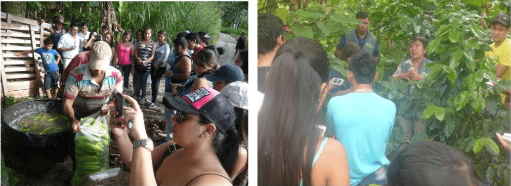 Turismo Rural en el Meta: experiencias de ayer y hoy