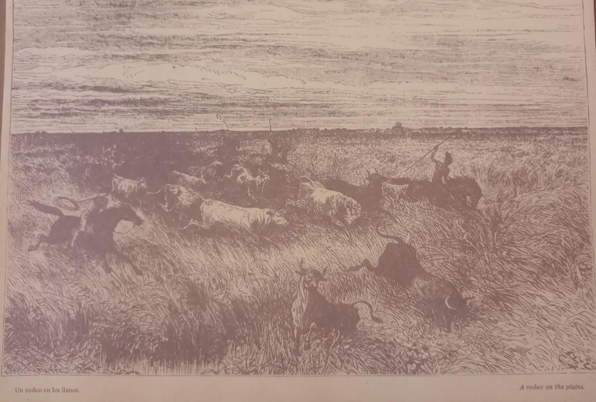 Un rodeo en los llanos