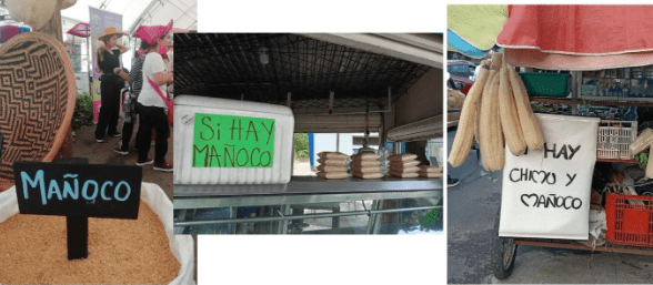 ¿Mañoco (Fariña) con Bienestarina?